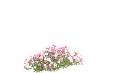 Wall Mural - Field of flowers on transparent background. 3d rendering - illustration