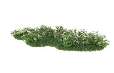 Wall Mural - Grass and flowers on transparent background. 3d rendering - illustration