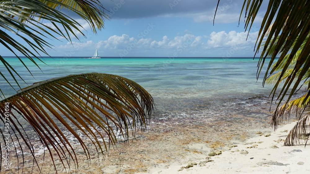 a beautiful beach between Saona Island Beach and Playa Bonita on Isla Saona in the Dominican Republic in the month of February 2022