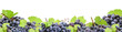 Leinwandbild Motiv Grape fruit