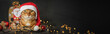 © Svetlana Rey - A ginger domestic cat sits in a New Years hat on a dark background with Christmas tree lights and decorations.