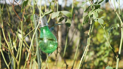 Sticker - Green ornamental bulb in the yard