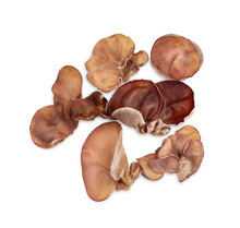 Black Ear Mushroom Isolated On Transparent Background (.PNG). Top View