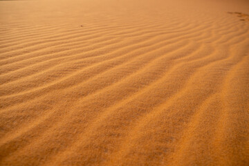  ripples in the sand