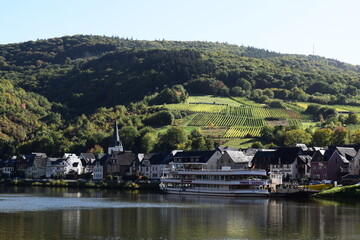 Canvas Print - Briedern an der Mosel im Herbst