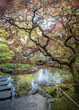 © Imagery By Lisa - Red Japanese Maple Tree Buchart Gardens