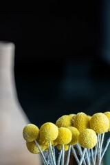 Wall Mural - Vase of clay with dried flowers with blurred background