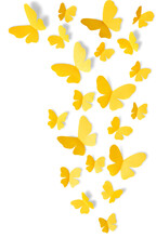 Yellow Butterflies On White Background