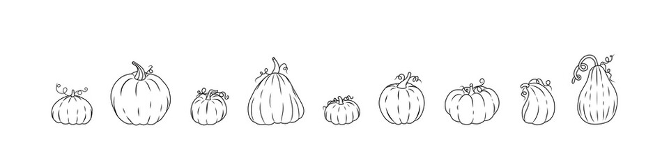 Wall Mural - A set of simple pumpkin drawings suitable for coloring book. Collection of outline pumpkins sketch, gourds different types, shapes and sizes. Vector isolated set for halloween, thanksgiving day