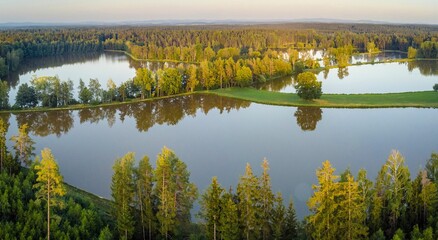 High-angle of a gree and yellow forest isolated with water area, reflecting on the sky