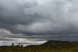 © Francis - Dramatic dark storm clouds loom over a vast green forest landscape under a moody, overcast sky. Professional landscape photography capturing the powerful atmosphere of nature before heavy rainfall.