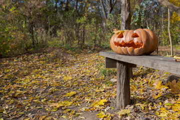 Wall Mural - Side view of orange traditional Halloween pumpkin with carved Jack O' Lantern face lying on wooden bench in autumn public park. Selective focus. Copy space for your text. Holiday decoration theme.