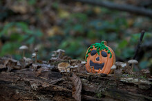 Orange Pumpkin Shaped Halloween Cookie With Jack O'Lantern Face Stands By Toadstools On Fallen Tree In Dark Autumn Forest. Selective Focus. Close-up View. Copy Space For Your Text. Holiday Food Theme.