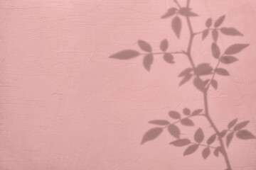 Wall Mural - Shadow of rose leaves on cream pink concrete wall texture with roughness and irregularities Abstract trendy colored nature concept background.Copy space for text overlay, poster mockup flat lay 