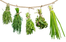 Set Of Spice Herbs  ,  Isolated On White Background ,  Bunches Of Thyme, Basil, Oregano, Parsley, Sage And Rosemary Are Hanging And Drying