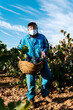© Ezequiel Giménez/Stocksy - Elderly man carrying basket of grapes