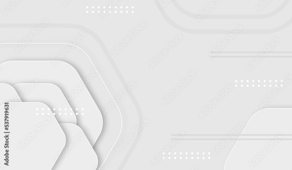 Modern elegant white abstract background design Stock Vector | Adobe Stock