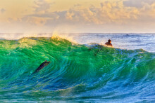 Sea Whale Wave 2 Surfers