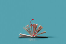 Open Book With Red Bookmark.