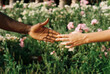 © Berena Alvarez/Stocksy - multiracial hands