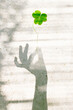 © Malin G/Stocksy - Clover