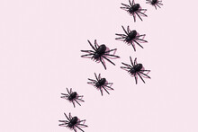 Faux Black Spider Skeletons Crawl Across A Pink Background