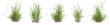 Set of grass bushes isolated. Perennial ryegrass. English ryegrass. Lolium perenne. 3D illustration