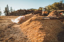 Wood Chips At A Sawmill