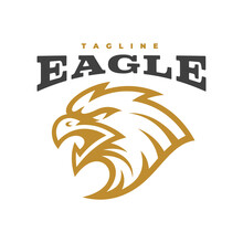Bird Eagle Falcon Or Hawk Head Line Art Mascot Logo Design