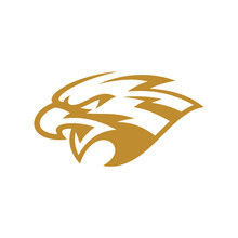 Bird Eagle Falcon Or Hawk Head Line Art Mascot Logo Design