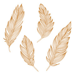  Png feathers collection. Hand drawn isolated on white background  set. Vintage art illustration

