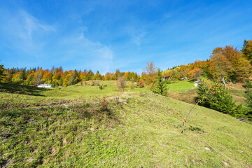 Poster - Autumn landscape of the Carpathians on a sunny day