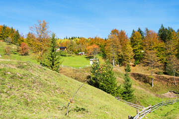 Poster - Autumn landscape of the Carpathians on a sunny day