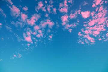 Poster - Blue sky with fluffy pink clouds at sunset. Sky texture, abstract nature background
