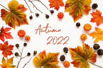 Wall Mural - bright colorful autumn leaf decoration, english text autumn 2022