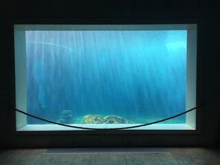 Wall Mural - empty hall and the aquarium with no fish.