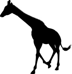 Poster - Giraffe Safari Animal Silhouette