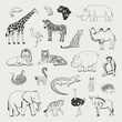 African animals vector illustrations line set.