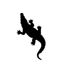 Alligator Stock Illustration On White Background.