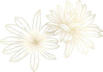 Luxury gold hand drawn floral element in line art style. Flowers and leaves 