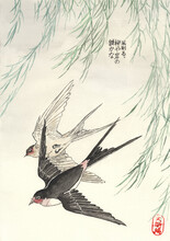 Watercolor Swallows In Japanese Zen Style	