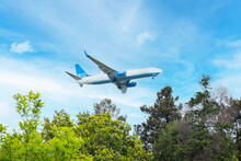 The Plane Is Flying Over The Trees In The Blue Sky.