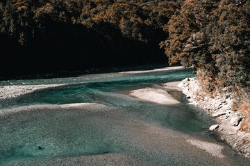 Canvas Print - little river with calm and transparent water with a rocky bottom among the vegetation of the green forest in a silent place in the middle of nature, wanaka lake, new zealand