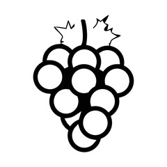 Wall Mural - grape line icon