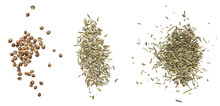 Spices Isolated On A White Background. The View From Top.