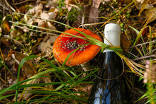Wine Bottle Decorated With Dry Grass Near The Amanita Mushroom.  Serving Wine With Mushrooms Concept. Funny Photo.  