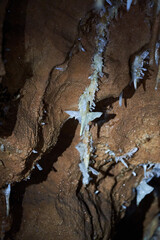 Wall Mural - Crystals on speleothemes in a cave