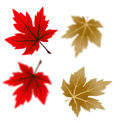 Wall Mural - autumn foliage png. on isolated transparent background. abstract wallpaper design with maple leaves,