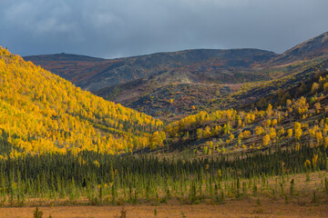 Sticker - Autumn mountains