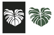Monstera leaf stencil close up. Vector silhouette of monstera leaves